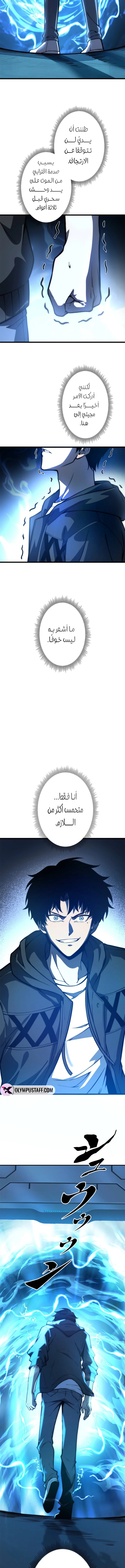 صفحة 17