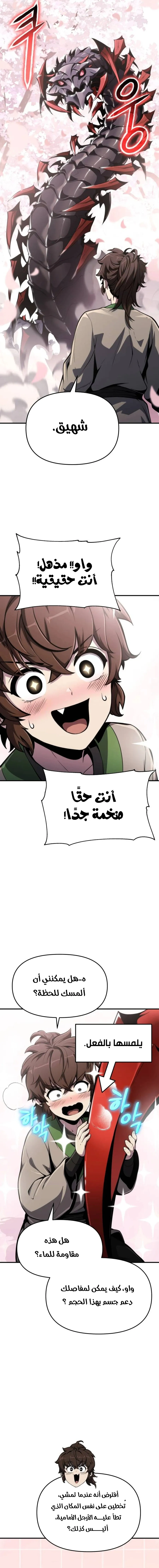 صفحة 17