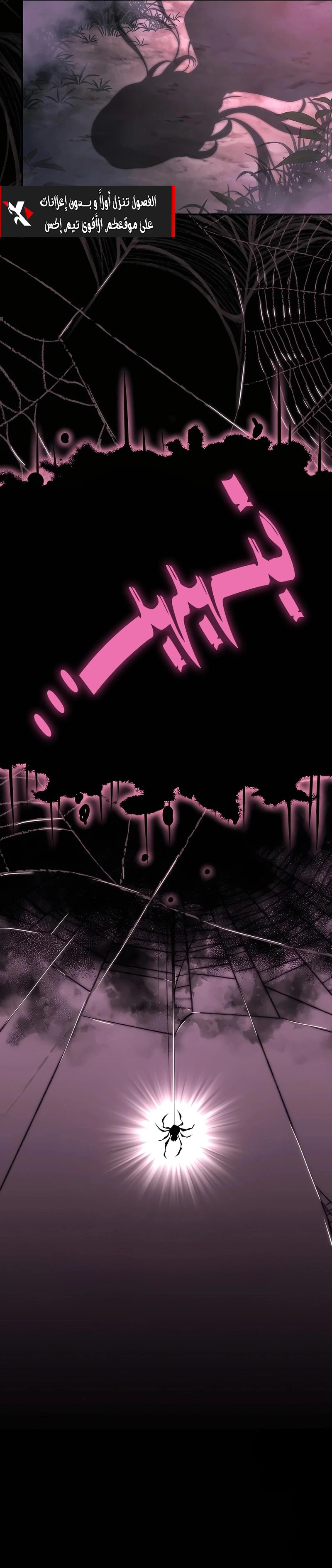 صفحة 13